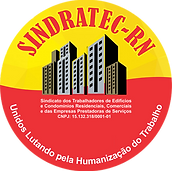 sindatrec logo.png