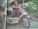 Er 'Brian Wheelchair' den sejeste dansker i Thailand?