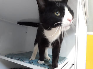 Fundkater vom 11.05.2021