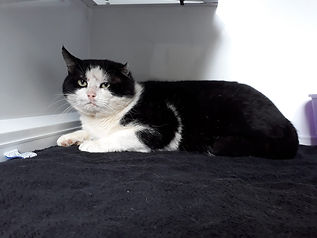 Fundkater vom 01.04.2021