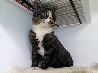 Fundkater vom 24.03.2021