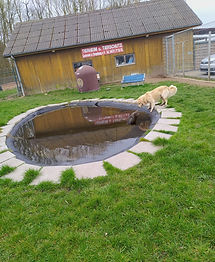 Im Tierheim wird es halt nie langweilig