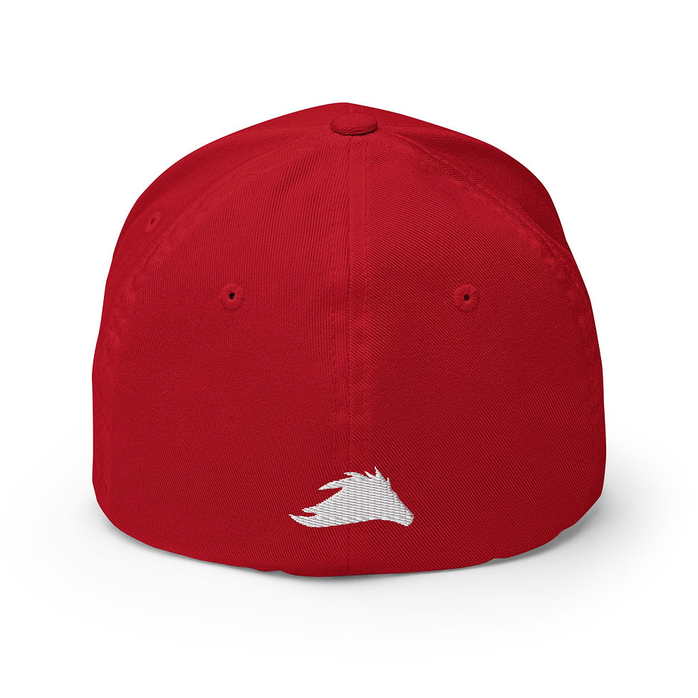 Thumbnail: White on Dark Structured Twill Cap 
