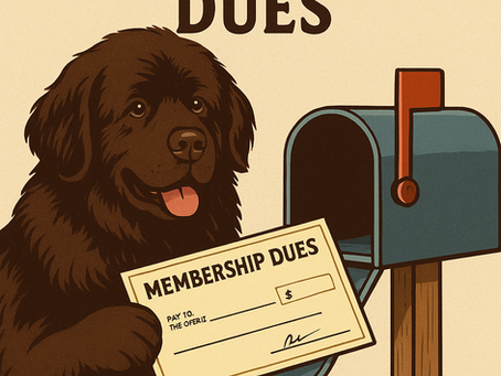 Time to Renew Your Membership