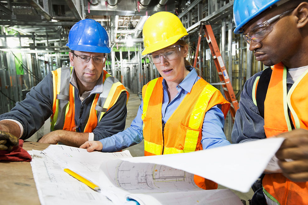 Analisano projeto.jpg