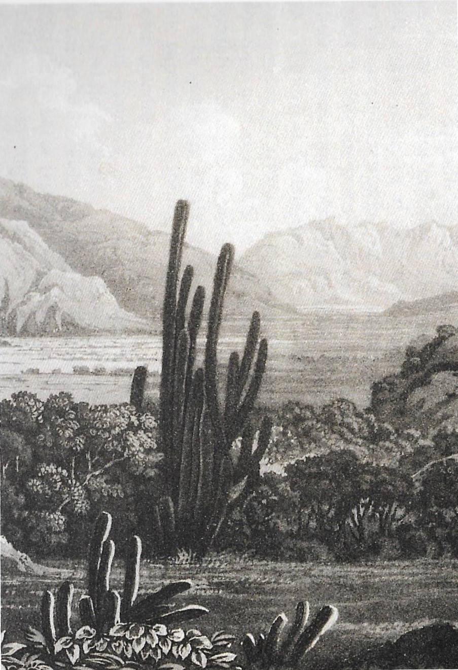Pie de la cuesta Lo Prado