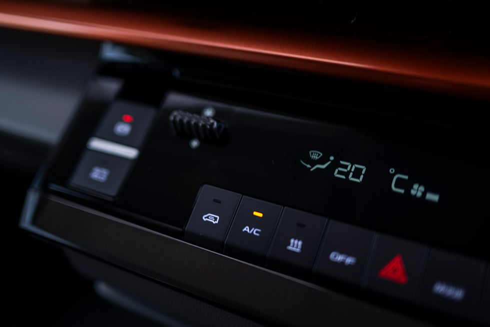 Farizon in van entertainment system and buttons