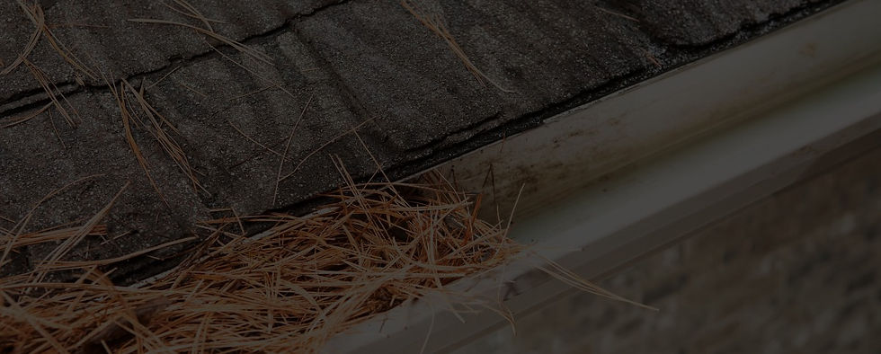 Gutter Cleaning
