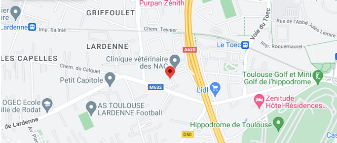 Capture d’écran 2024-07-23 à 20.37.45.png