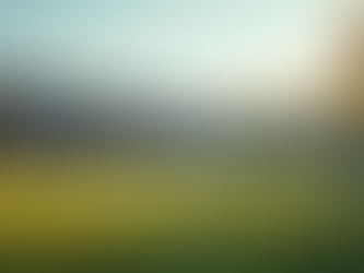 Transitioning from Sports: Resources for Low SES Athletes