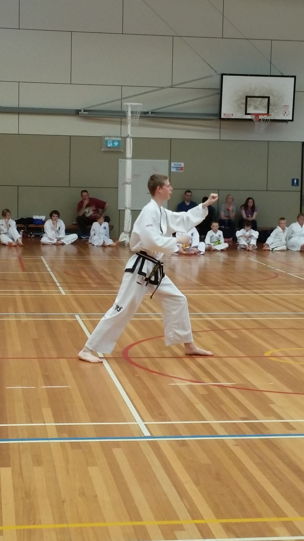 Taekwondo