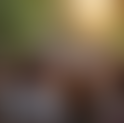 Empowering Cannabis Equity: Join the CECC Today