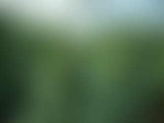 Invest in Cannabis Equity: Support Our Initiative