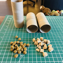 A toilet paper roll (cleaned out) and your dogs favourite treats!