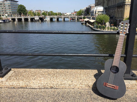 Meet the Woodpecker Travel Guitar