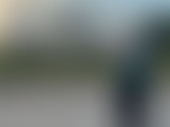 Mr. Ben goes to Washington Part 2