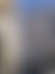 Casa Palese di via I Maggio (Sec. XVIII)