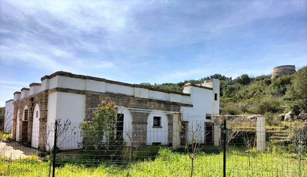 Masseria Macagnino e la torre colombaia - Loc. Acquarica
