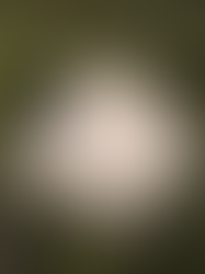 Il Pajarone di Acquarica del Capo