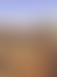 Presicce-Acquarica: un'esperienza da vivere!