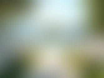 Creating Magical Moments at Romantic Outdoor Wedding Spots