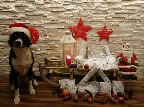 Adventskalender | Hundeshop