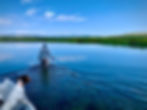 Justin wading into position as his trusty companion, Rogue, looks on eagerly.