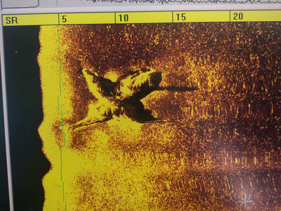 Sea Hunt Surveys International Recovers Missing Plane