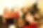4f046d_c7f96a5ee5cc4098aa7e047db662590c~mv2.webp