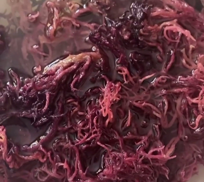 Thumbnail: 16oz (1lb) Purple Sea Moss - Premium St. Lucian Sea Moss