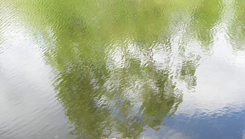 C3855 (0-00-31-16).png