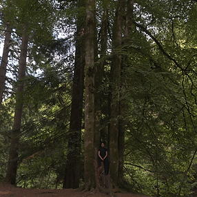 final (0-00-42-11).png