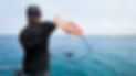 Rescue-Gallery-hero--lFaWM8k9.jpg