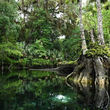 Silver Springs
Jade Cave