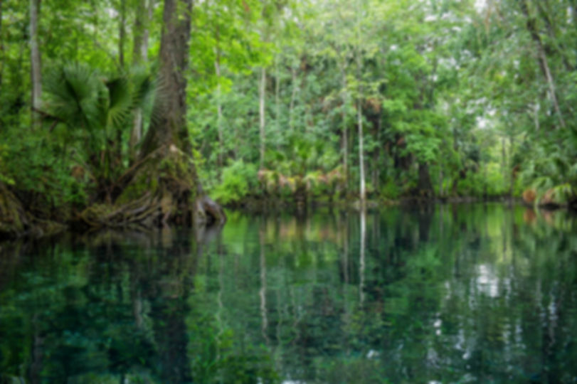 Silver Springs Calm 24x16 Canvas Framed 4/10