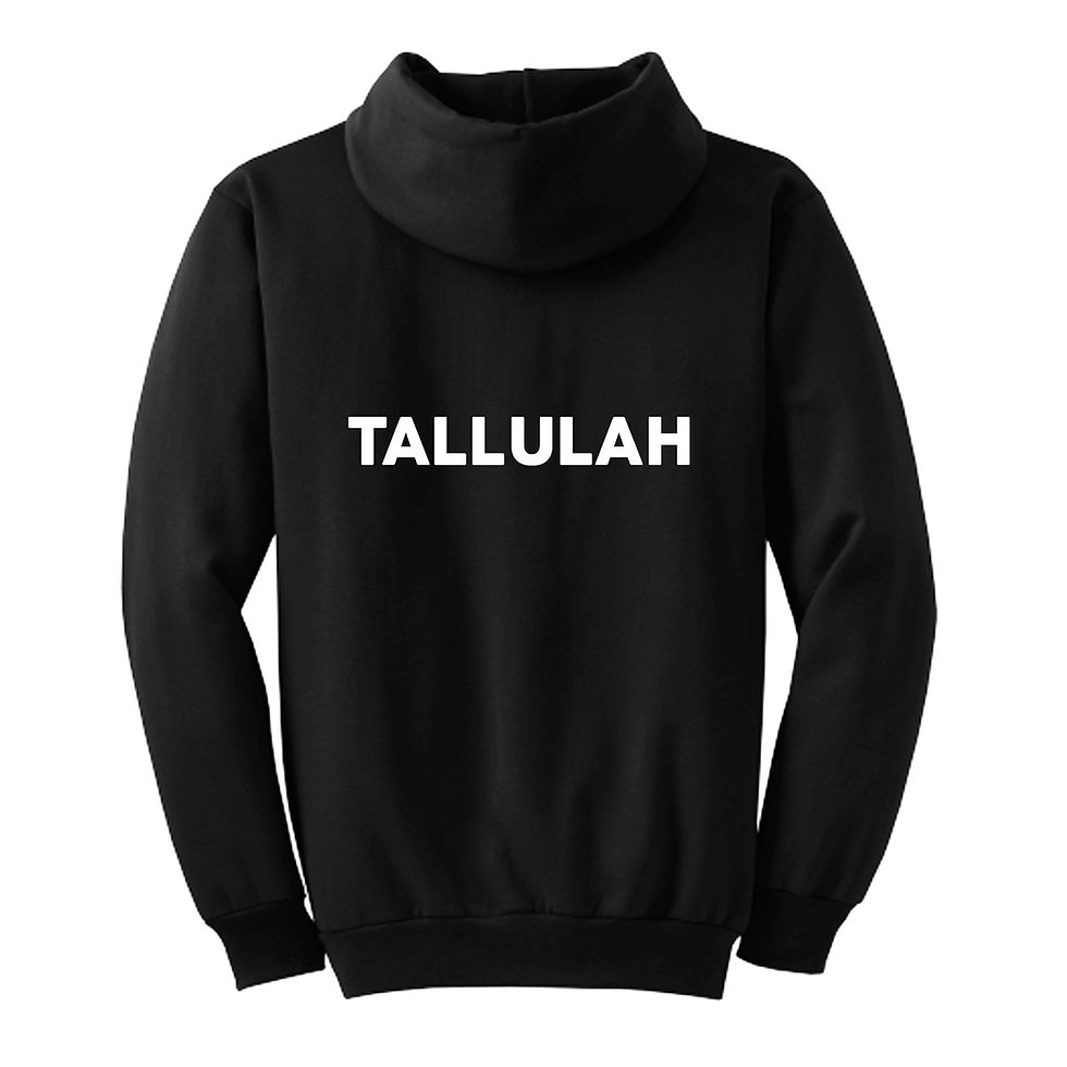Thumbnail: CSTA HOODIE