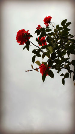 Bordeaux Region France