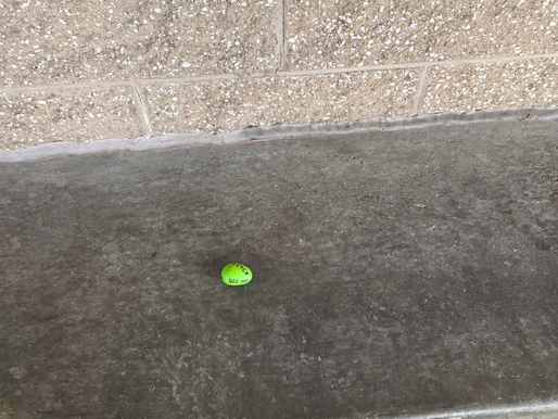 Rock 3620 - Found by Miles in Albuquerque, NM and on it's way to Alaska with him