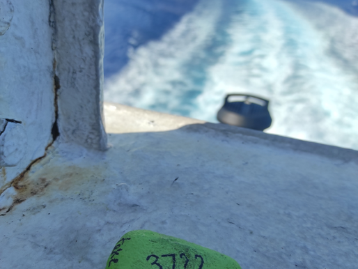 Rock 3722 - Found by Simão Horta on the ferry from Paros to Naxos Greece