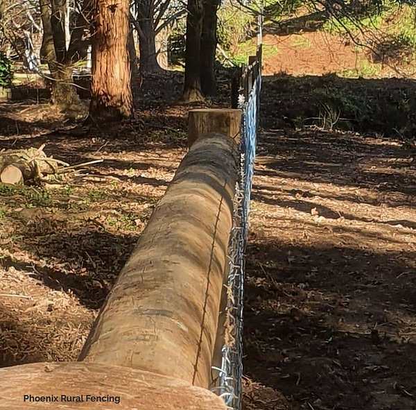 Rural Style Barbed Wire_edited.png