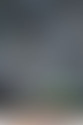 Jornada de meditación zen en Temuco Agosto 2019