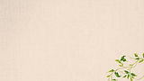 fondo2plantas_edited.jpg