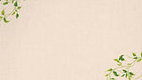 fondo con plantas_edited.jpg