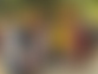 Uttarakhand’s Startup Scene Gets a Creative Boost: Inside the JuicyVerse Exhibit by Billzaar Community