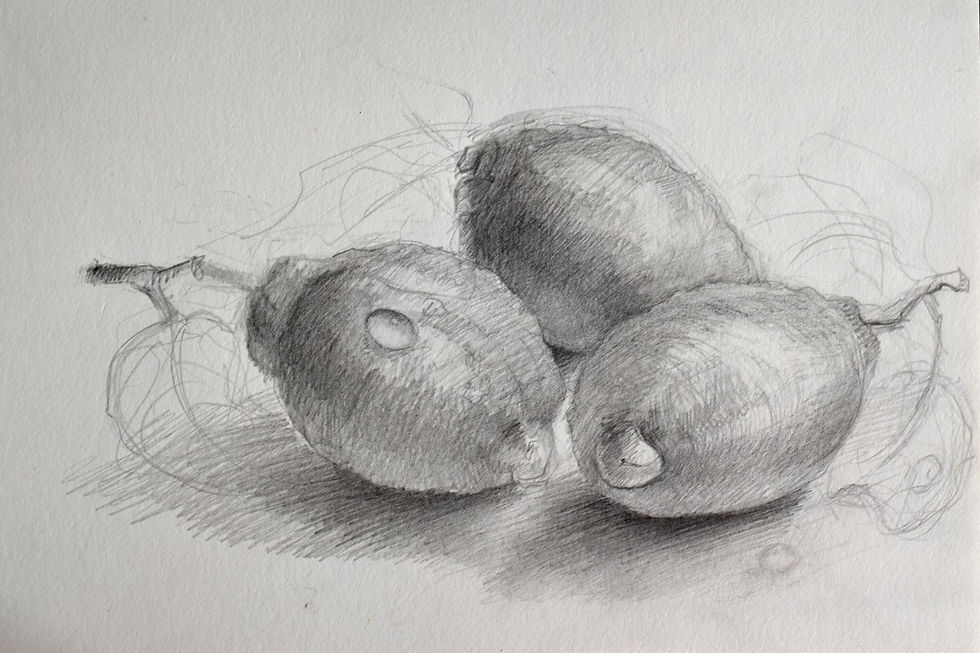 Still life with lemons, pencil