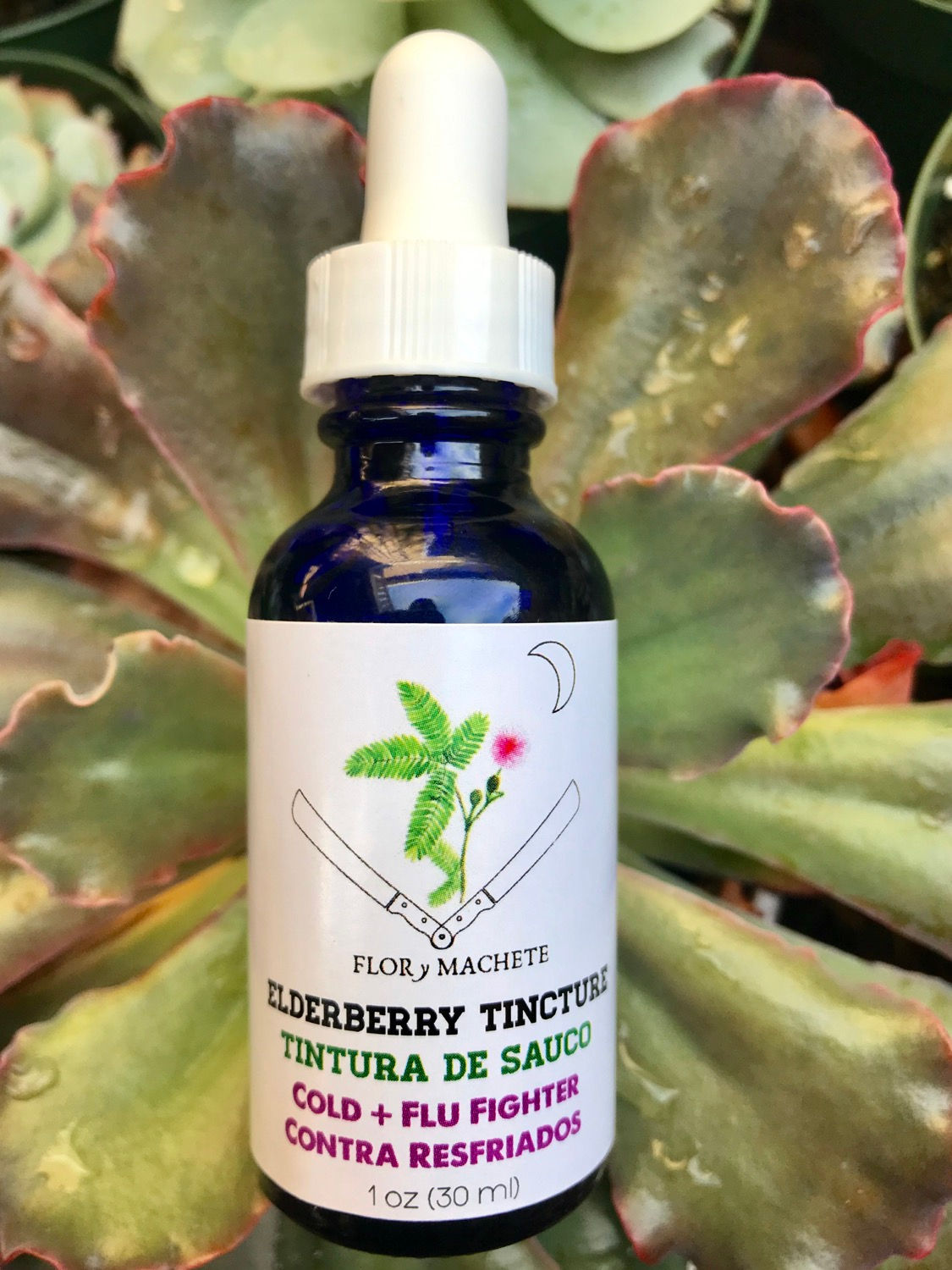 Elderberry+ Tincture