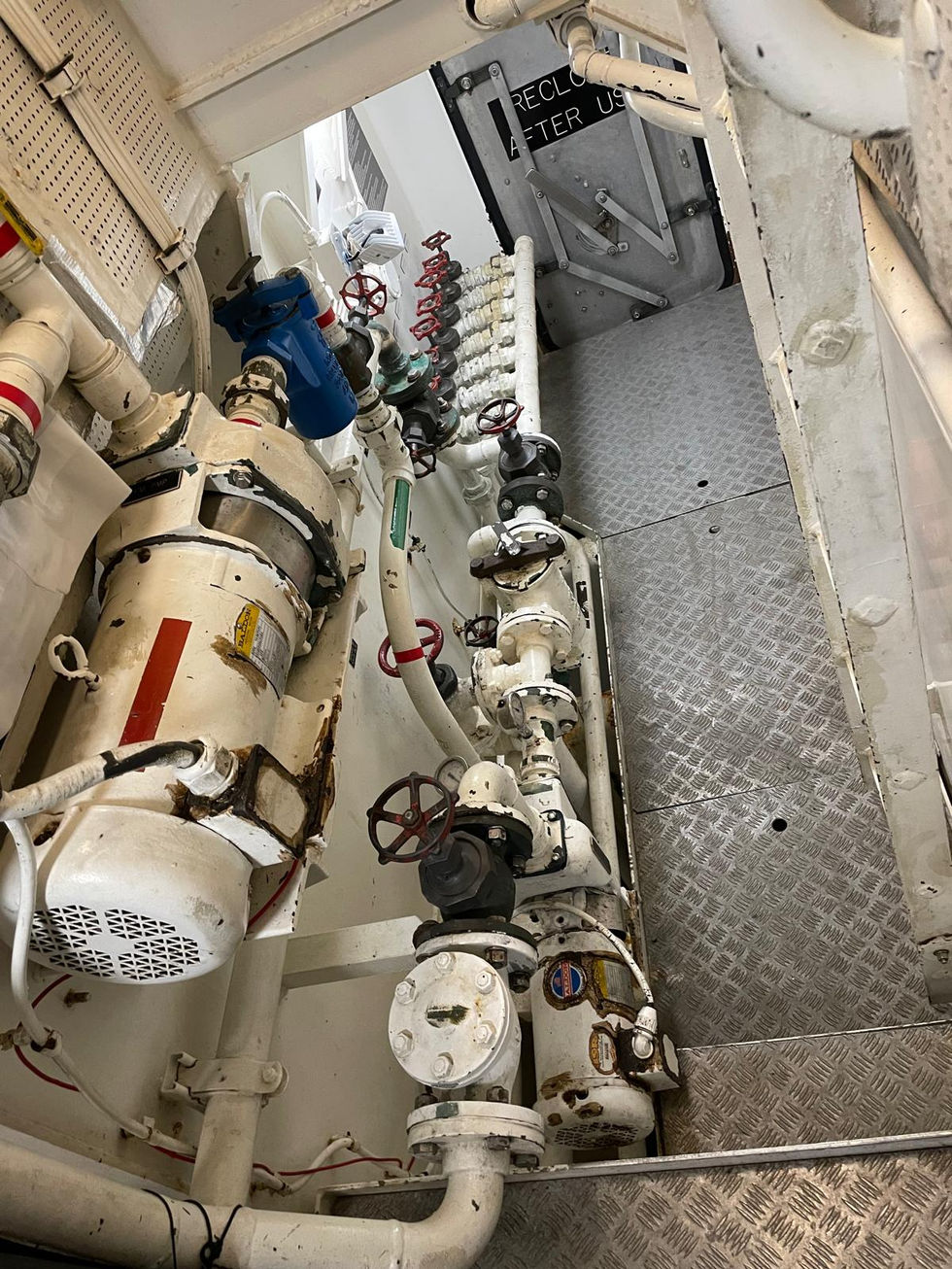 Fire pump and Bilge Manifold