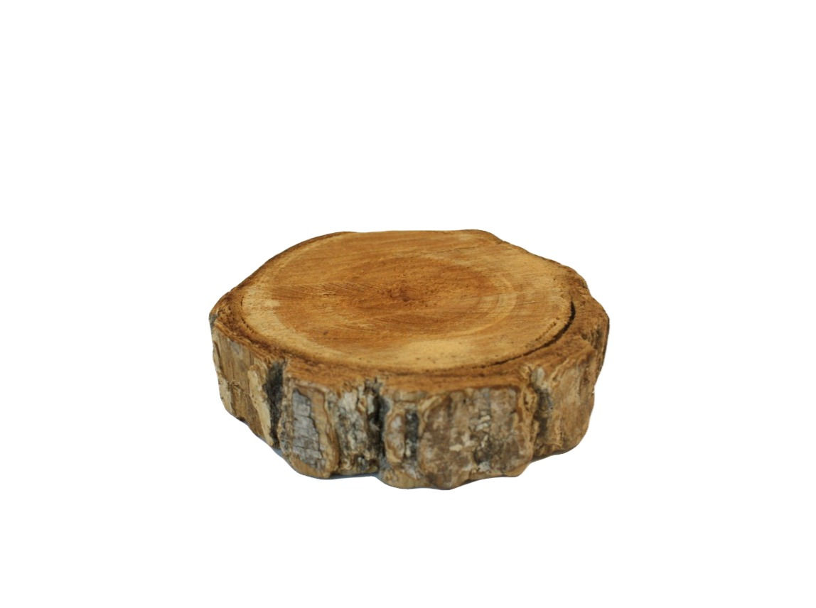 Tronquinho Casca Grossa PP