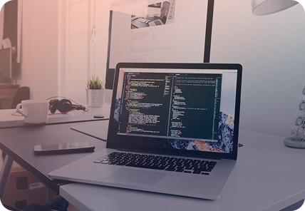 Website development service