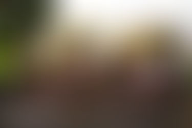 尊孔行1104圆满举行